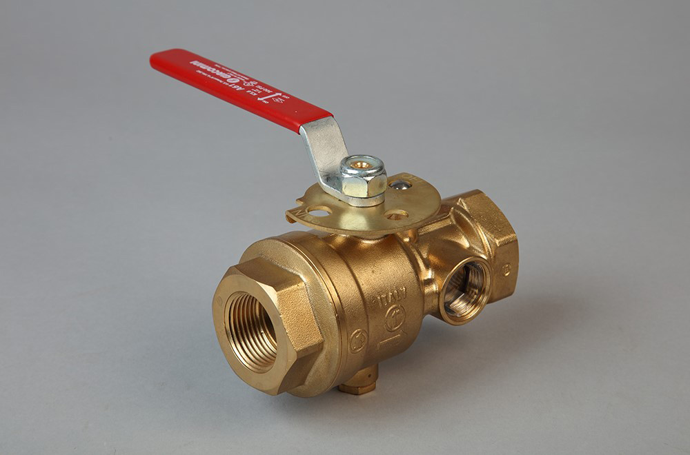 Test&drain valve