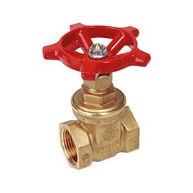 R55 Gate valve with female-female connections