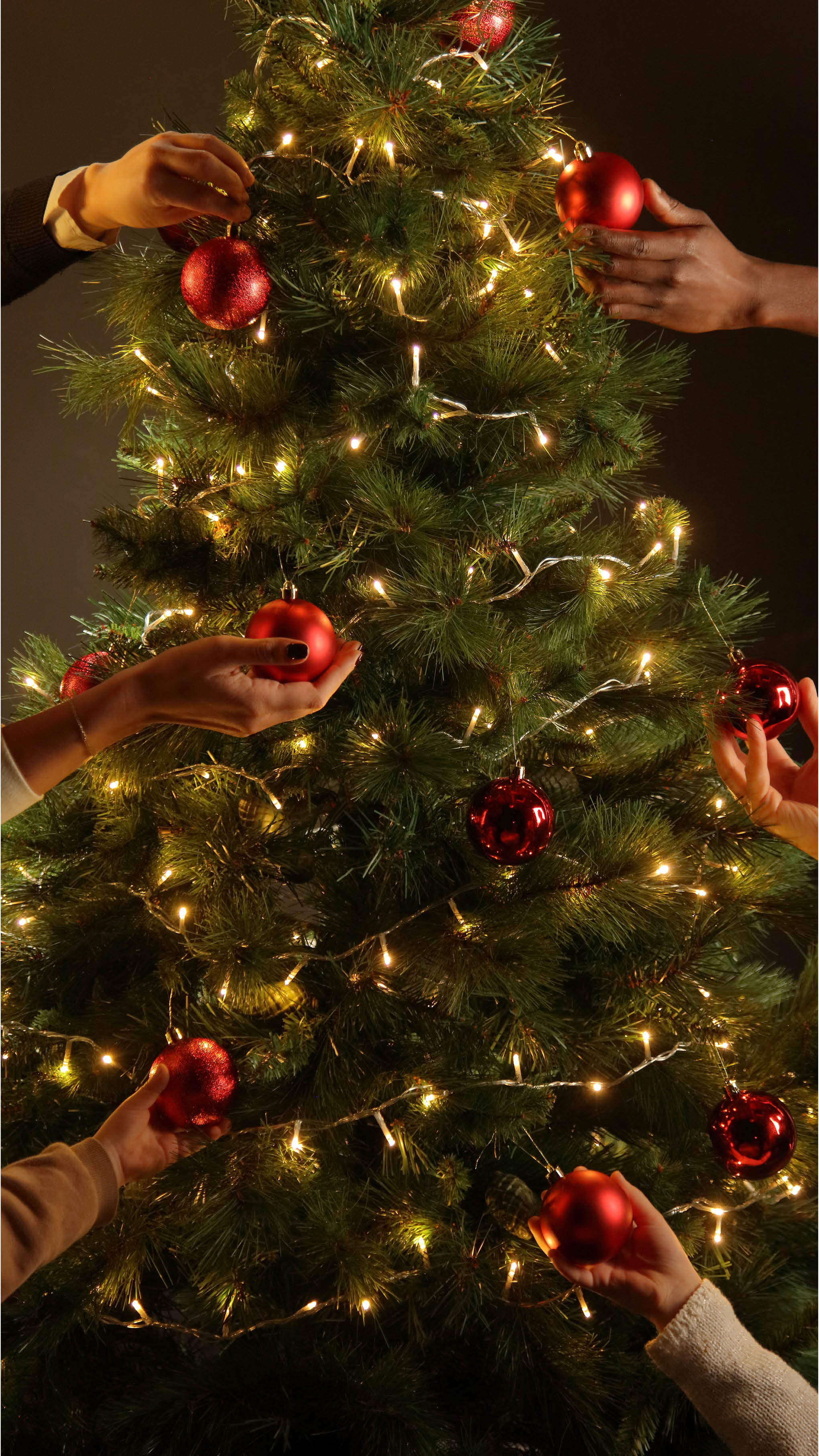 Christmas campaign 2025