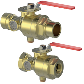 A61 Test and drain valve