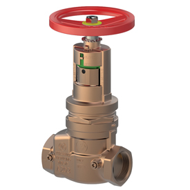 A203 Field adjustable pressure reducing valve, with checking device