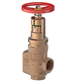 A201 Field adjustable pressure reducing valve, with checking device