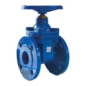 R55FL Gate valve with EPDM coated wedge